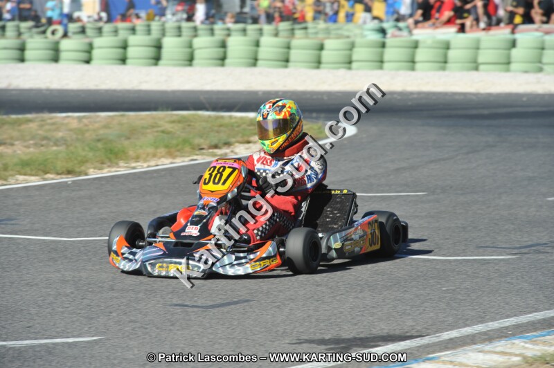 DSC (2529).JPG